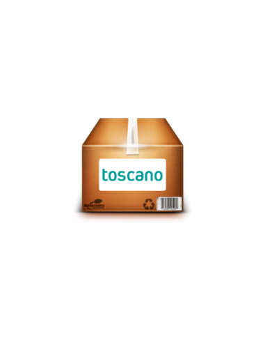 ECO-AC-2P25T15 TOSCANO 10003246